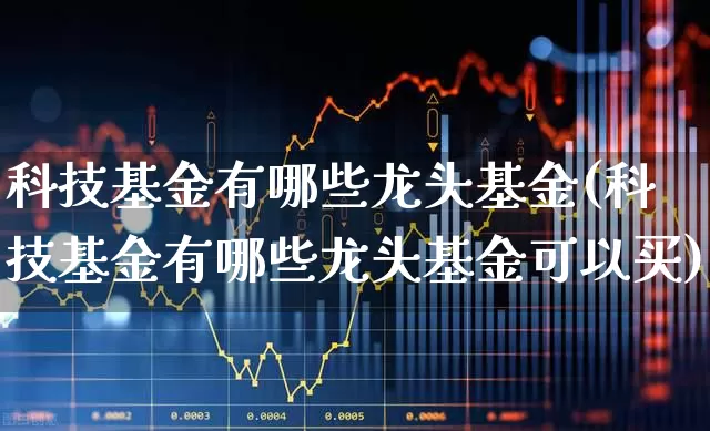 科技基金有哪些龙头基金(科技基金有哪些龙头基金可以买)_https://www.shshucaipeisong.com_深交所_第1张