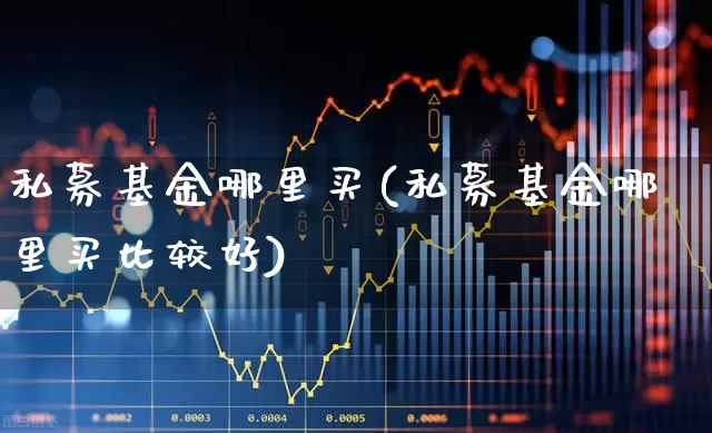 私募基金哪里买(私募基金哪里买比较好)_https://www.shshucaipeisong.com_上交所_第1张