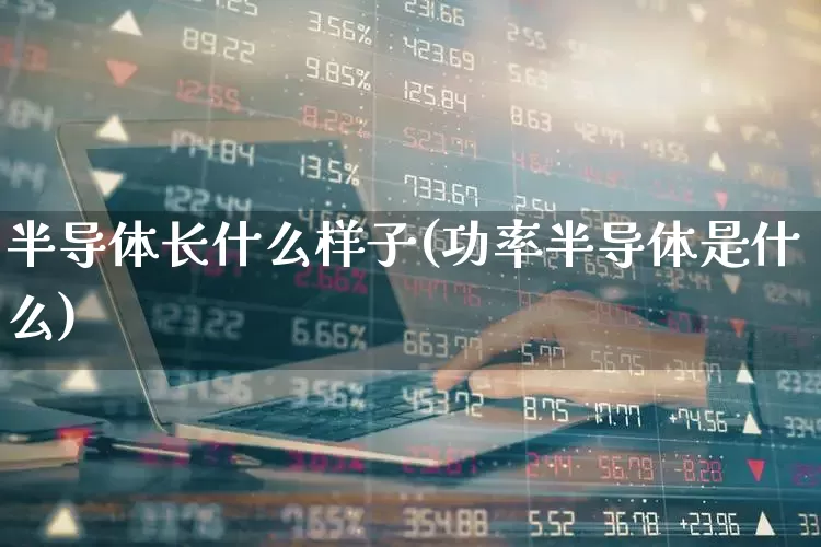 半导体长什么样子(功率半导体是什么)_https://www.shshucaipeisong.com_北交所_第1张