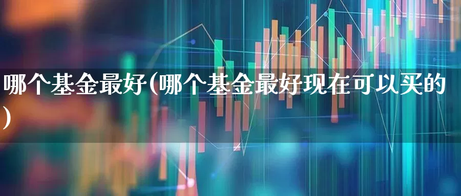 哪个基金最好(哪个基金最好现在可以买的)_https://www.shshucaipeisong.com_科创板_第1张