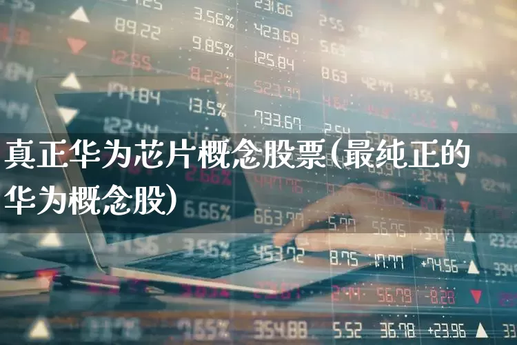 真正华为芯片概念股票(最纯正的华为概念股)_https://www.shshucaipeisong.com_深交所_第1张