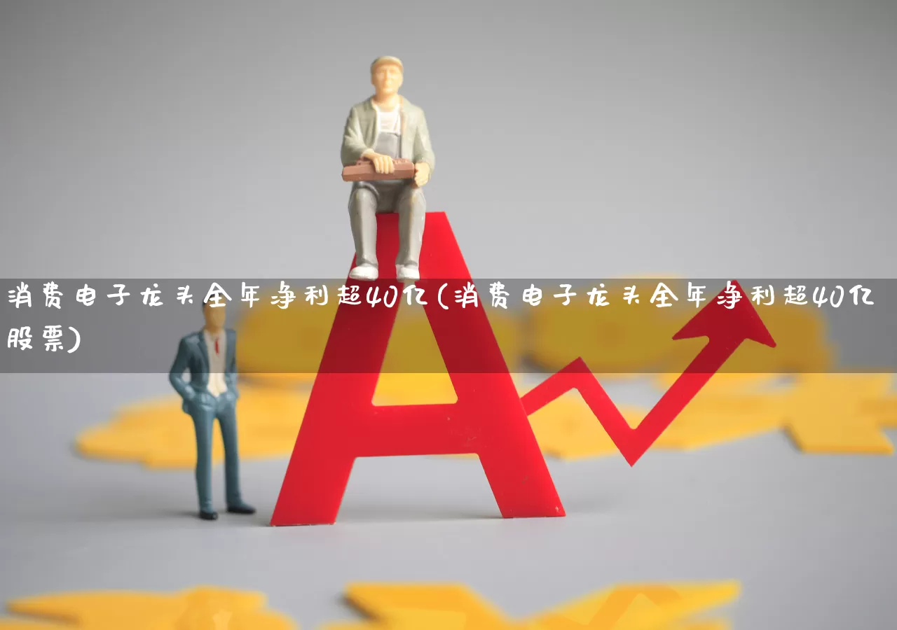 消费电子龙头全年净利超40亿(消费电子龙头全年净利超40亿股票)_https://www.shshucaipeisong.com_科创板_第1张