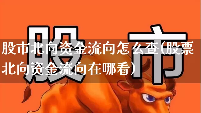 股市北向资金流向怎么查(股票北向资金流向在哪看)_https://www.shshucaipeisong.com_上交所_第1张