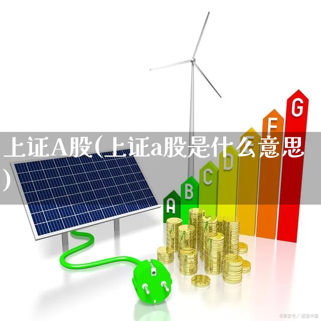 上证A股(上证a股是什么意思)_https://www.shshucaipeisong.com_深交所_第1张