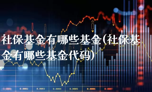 社保基金有哪些基金(社保基金有哪些基金代码)_https://www.shshucaipeisong.com_上交所_第1张