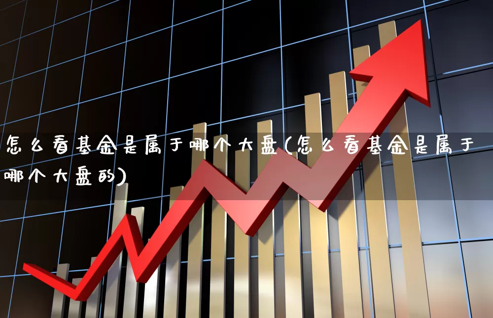 怎么看基金是属于哪个大盘(怎么看基金是属于哪个大盘的)_https://www.shshucaipeisong.com_北交所_第1张