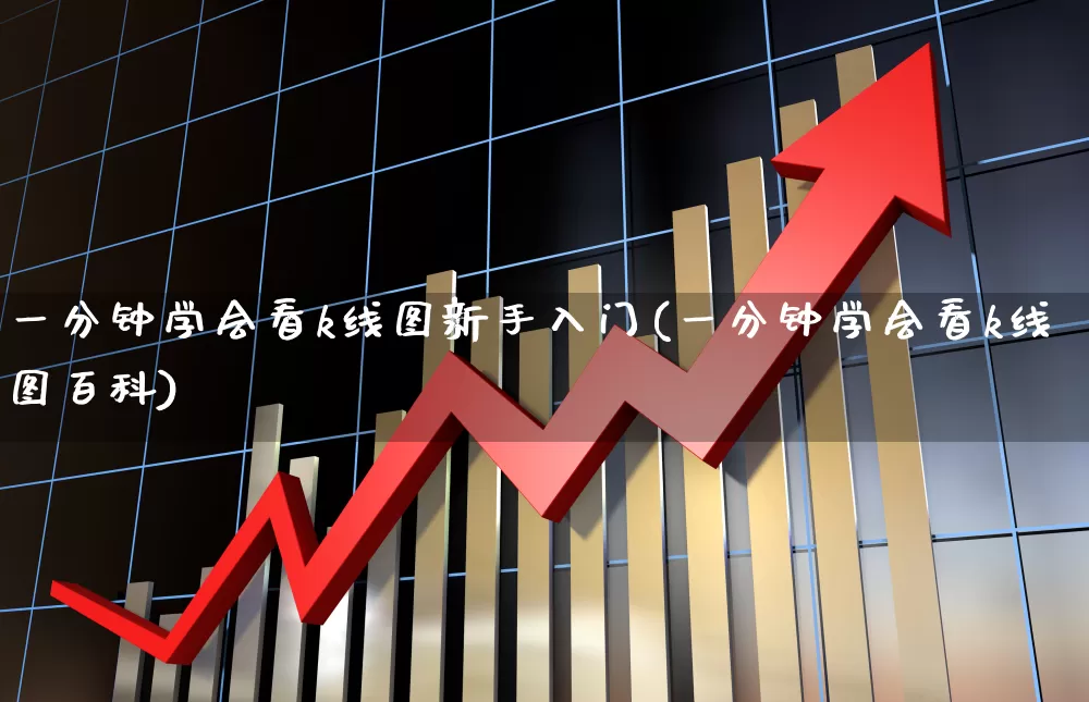 一分钟学会看k线图新手入门(一分钟学会看k线图百科)_https://www.shshucaipeisong.com_北交所_第1张