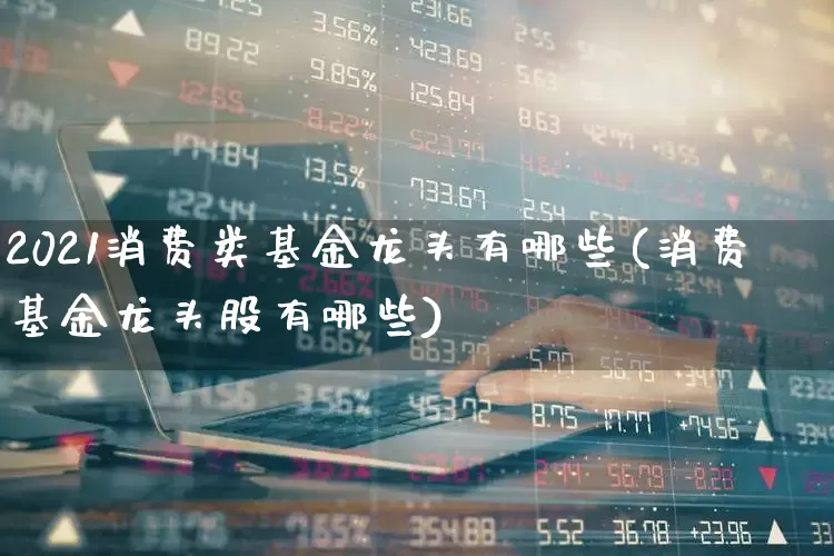 2021消费类基金龙头有哪些(消费基金龙头股有哪些)_https://www.shshucaipeisong.com_创业板_第1张