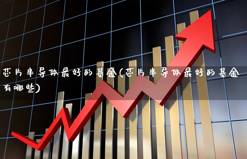 芯片半导体最好的基金(芯片半导体最好的基金有哪些)_https://www.shshucaipeisong.com_北交所_第1张