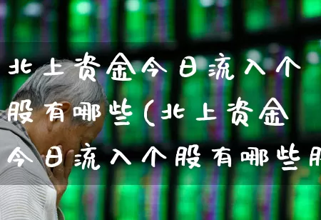 北上资金今日流入个股有哪些(北上资金今日流入个股有哪些股票)_https://www.shshucaipeisong.com_深交所_第1张