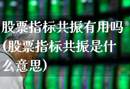 股票指标共振有用吗(股票指标共振是什么意思)_https://www.shshucaipeisong.com_北交所_第1张
