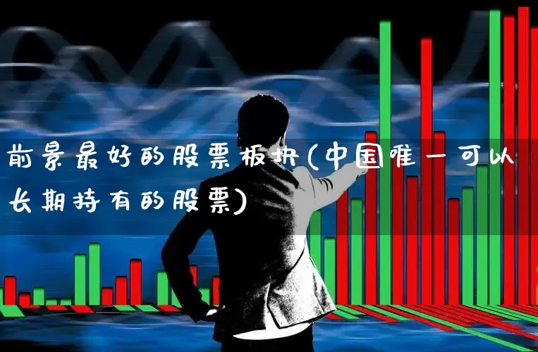 前景最好的股票板块(中国唯一可以长期持有的股票)_https://www.shshucaipeisong.com_科创板_第1张