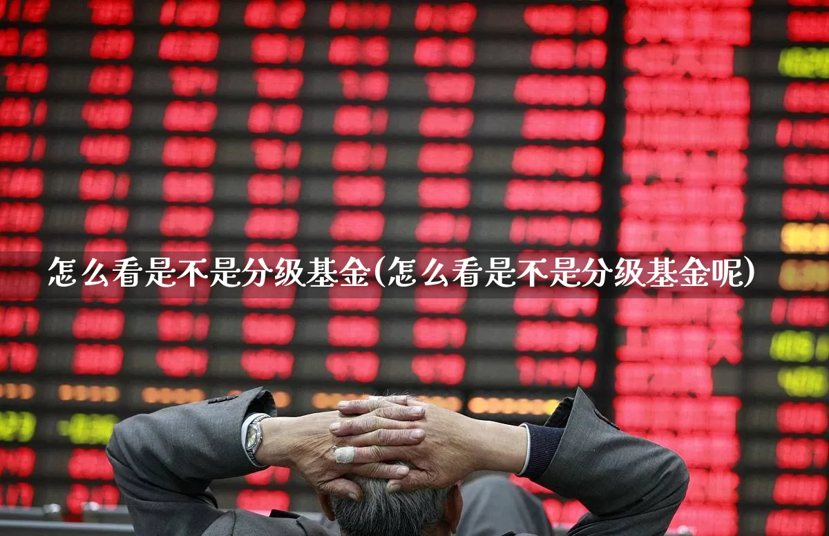 怎么看是不是分级基金(怎么看是不是分级基金呢)_https://www.shshucaipeisong.com_深交所_第1张