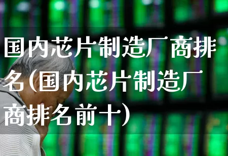 国内芯片制造厂商排名(国内芯片制造厂商排名前十)_https://www.shshucaipeisong.com_深交所_第1张