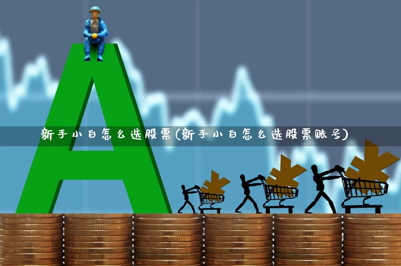 新手小白怎么选股票(新手小白怎么选股票账号)_https://www.shshucaipeisong.com_创业板_第1张