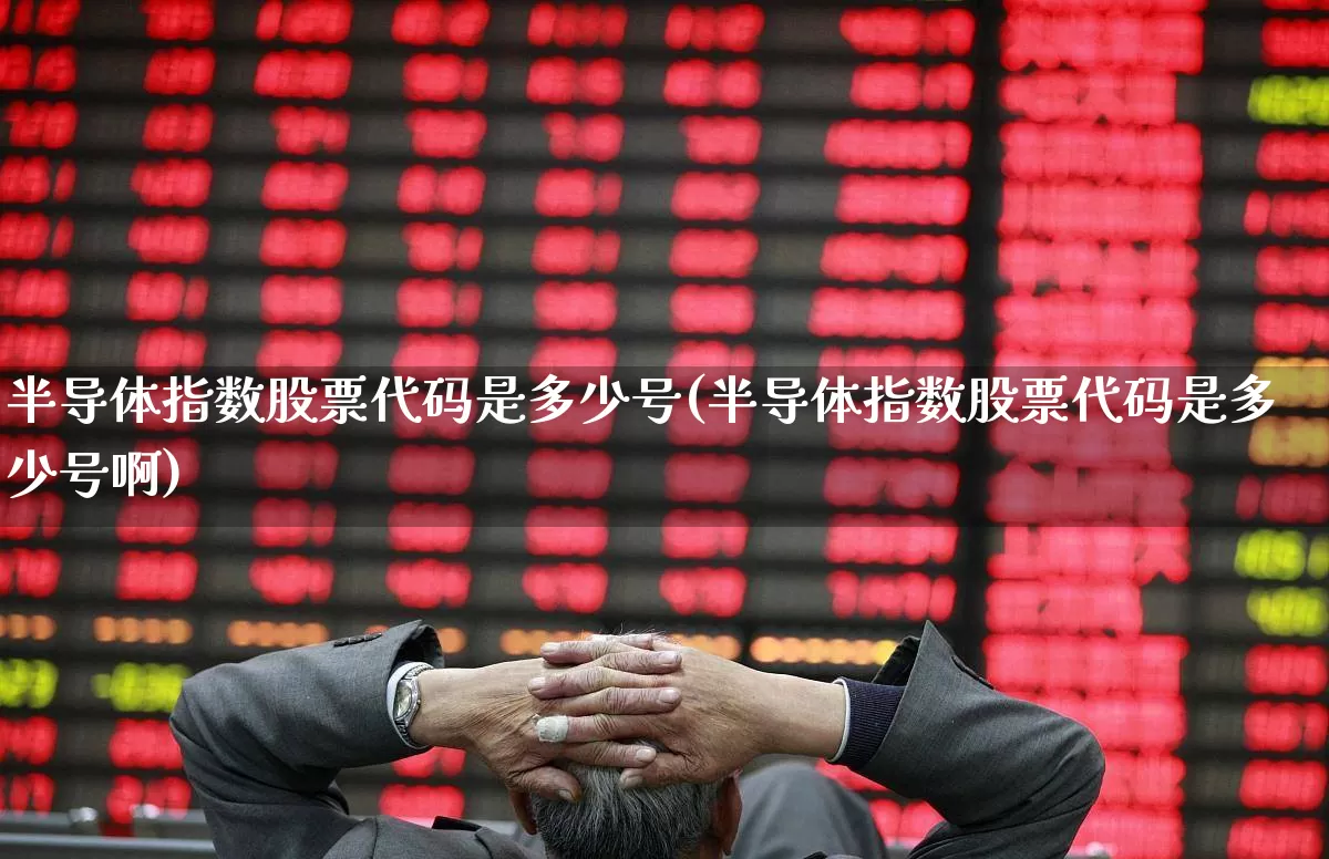 半导体指数股票代码是多少号(半导体指数股票代码是多少号啊)_https://www.shshucaipeisong.com_北交所_第1张