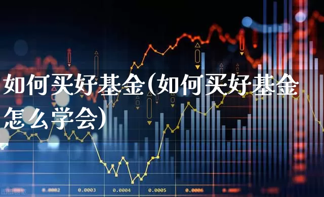 如何买好基金(如何买好基金怎么学会)_https://www.shshucaipeisong.com_科创板_第1张