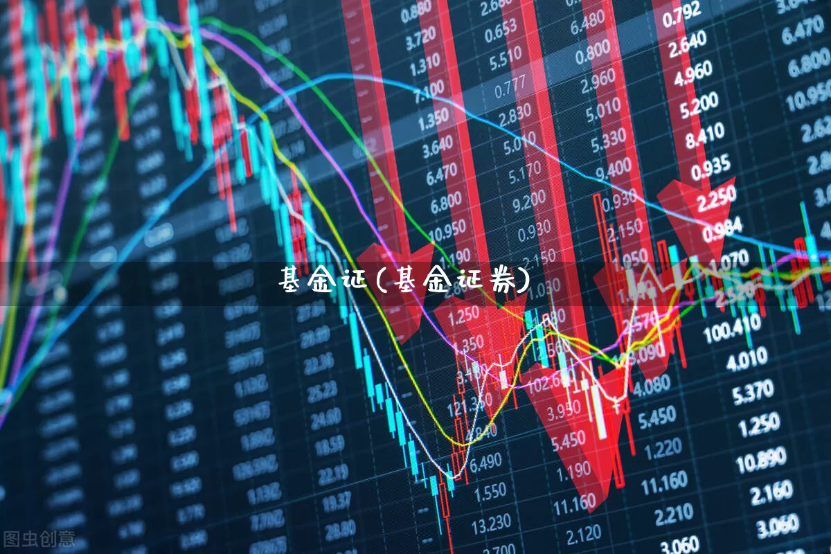 基金证(基金证券)_https://www.shshucaipeisong.com_深交所_第1张