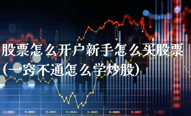 股票怎么开户新手怎么买股票(一窍不通怎么学炒股)_https://www.shshucaipeisong.com_北交所_第1张