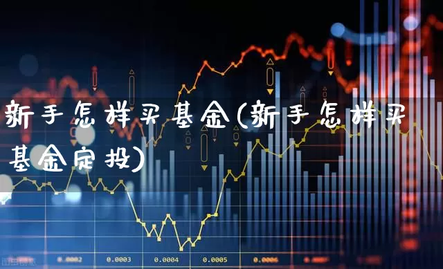 新手怎样买基金(新手怎样买基金定投)_https://www.shshucaipeisong.com_创业板_第1张