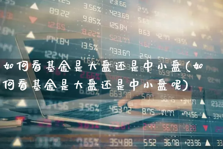 如何看基金是大盘还是中小盘(如何看基金是大盘还是中小盘呢)_https://www.shshucaipeisong.com_深交所_第1张