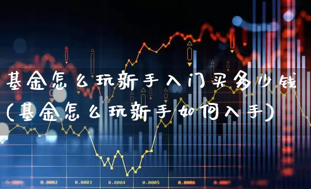 基金怎么玩新手入门买多少钱(基金怎么玩新手如何入手)_https://www.shshucaipeisong.com_科创板_第1张