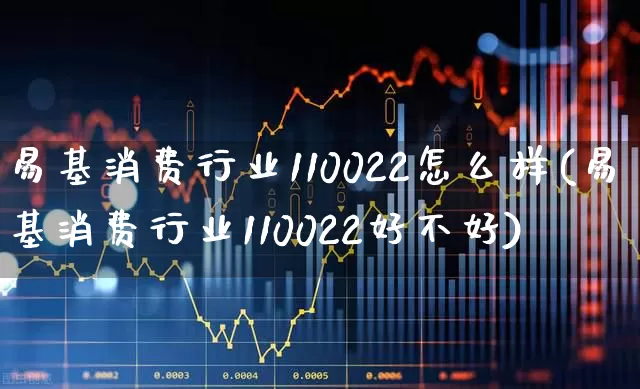 易基消费行业110022怎么样(易基消费行业110022好不好)_https://www.shshucaipeisong.com_科创板_第1张
