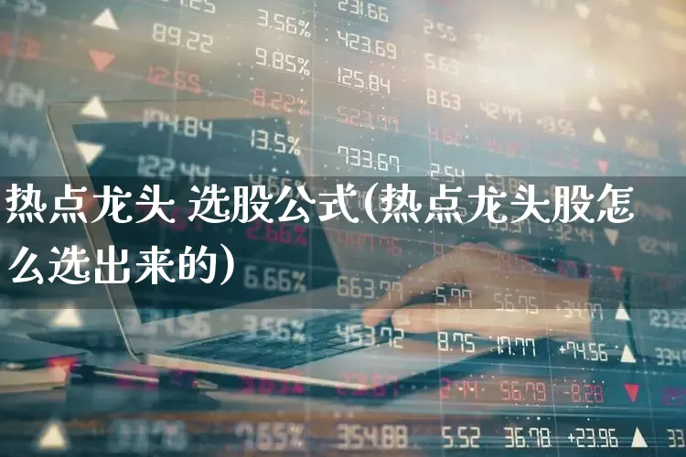 热点龙头 选股公式(热点龙头股怎么选出来的)_https://www.shshucaipeisong.com_北交所_第1张