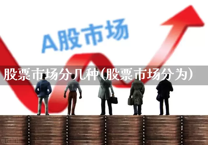股票市场分几种(股票市场分为)_https://www.shshucaipeisong.com_上交所_第1张