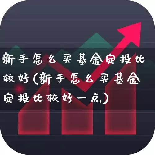 新手怎么买基金定投比较好(新手怎么买基金定投比较好一点)_https://www.shshucaipeisong.com_创业板_第1张