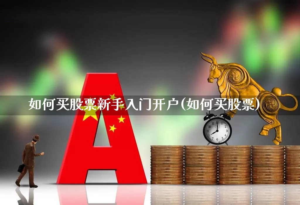 如何买股票新手入门开户(如何买股票)_https://www.shshucaipeisong.com_创业板_第1张