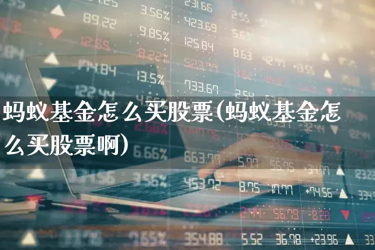 蚂蚁基金怎么买股票(蚂蚁基金怎么买股票啊)_https://www.shshucaipeisong.com_上交所_第1张