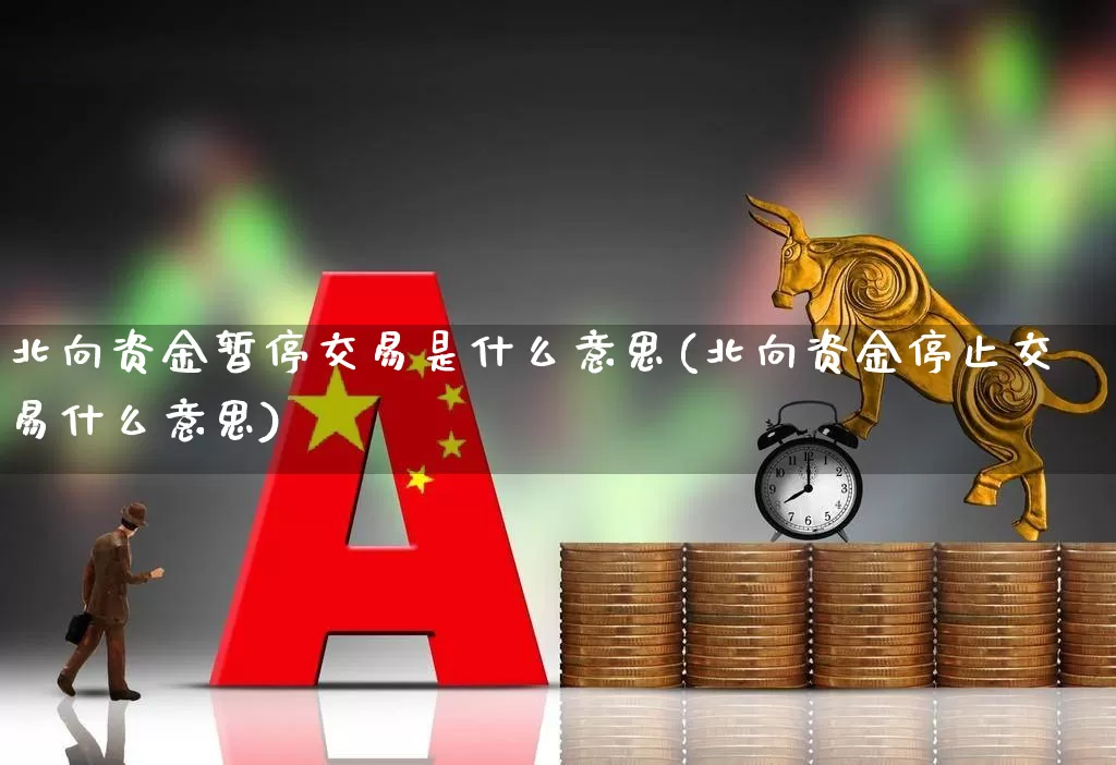 北向资金暂停交易是什么意思(北向资金停止交易什么意思)_https://www.shshucaipeisong.com_深交所_第1张