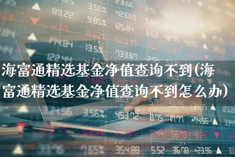 海富通精选基金净值查询不到(海富通精选基金净值查询不到怎么办)_https://www.shshucaipeisong.com_科创板_第1张