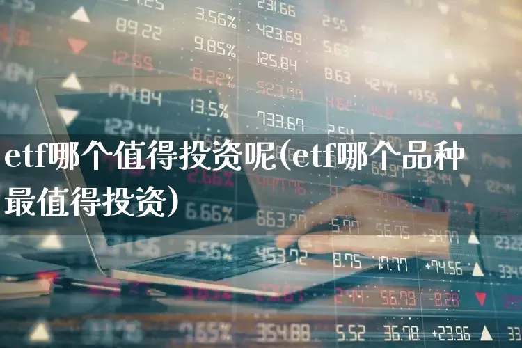 etf哪个值得投资呢(etf哪个品种最值得投资)_https://www.shshucaipeisong.com_北交所_第1张