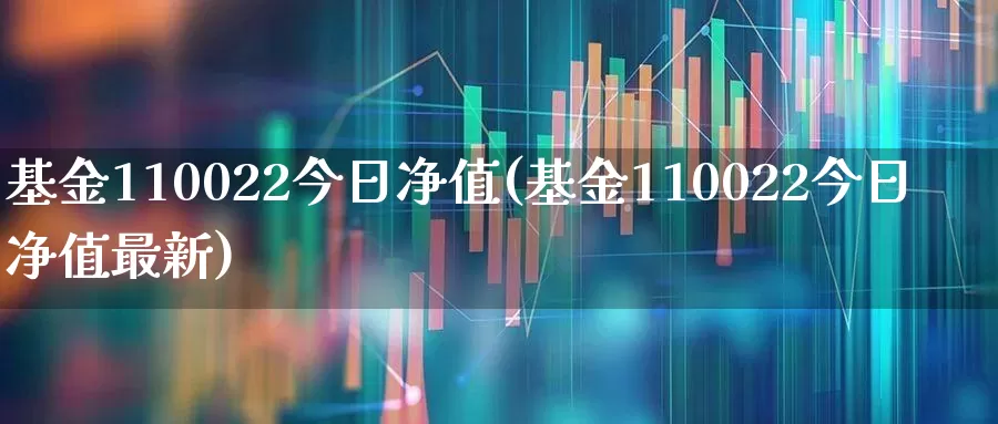 基金110022今日净值(基金110022今日净值最新)_https://www.shshucaipeisong.com_创业板_第1张