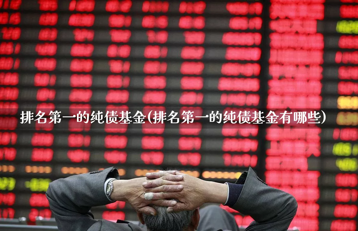 排名第一的纯债基金(排名第一的纯债基金有哪些)_https://www.shshucaipeisong.com_上交所_第1张