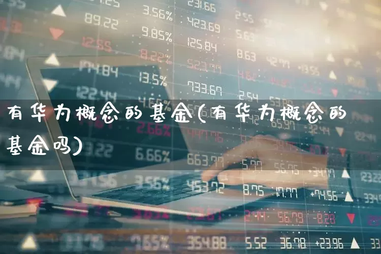 有华为概念的基金(有华为概念的基金吗)_https://www.shshucaipeisong.com_上交所_第1张