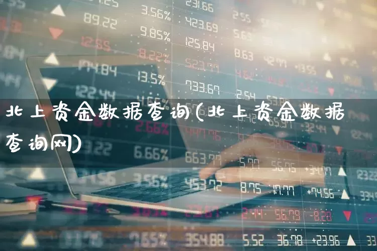 北上资金数据查询(北上资金数据查询网)_https://www.shshucaipeisong.com_深交所_第1张