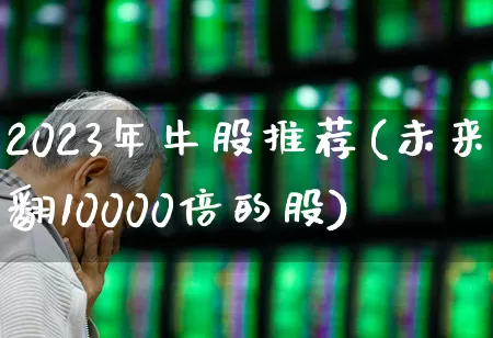 2023年牛股推荐(未来翻10000倍的股)_https://www.shshucaipeisong.com_深交所_第1张