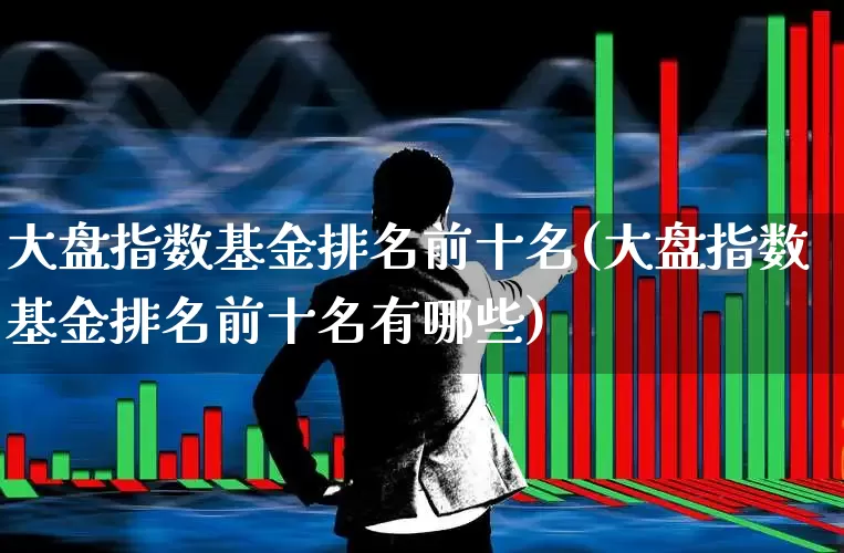 大盘指数基金排名前十名(大盘指数基金排名前十名有哪些)_https://www.shshucaipeisong.com_北交所_第1张