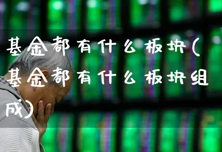基金都有什么板块(基金都有什么板块组成)_https://www.shshucaipeisong.com_创业板_第1张