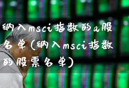 纳入msci指数的a股名单(纳入msci指数的股票名单)_https://www.shshucaipeisong.com_北交所_第1张