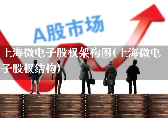 上海微电子股权架构图(上海微电子股权结构)_https://www.shshucaipeisong.com_深交所_第1张
