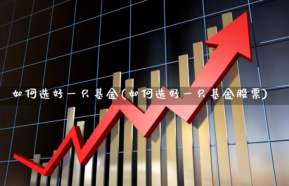 如何选好一只基金(如何选好一只基金股票)_https://www.shshucaipeisong.com_北交所_第1张