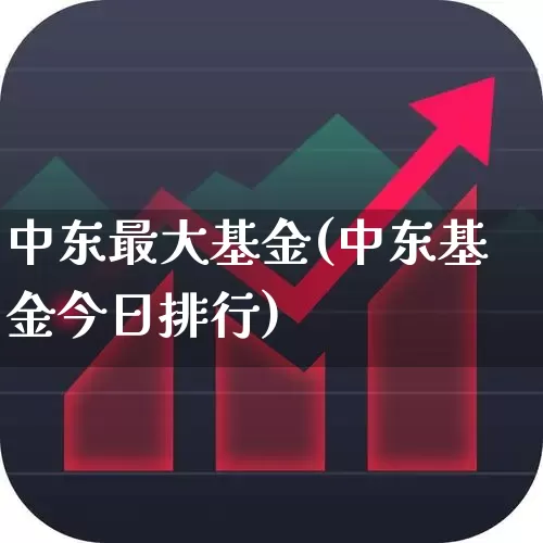中东最大基金(中东基金今日排行)_https://www.shshucaipeisong.com_深交所_第1张