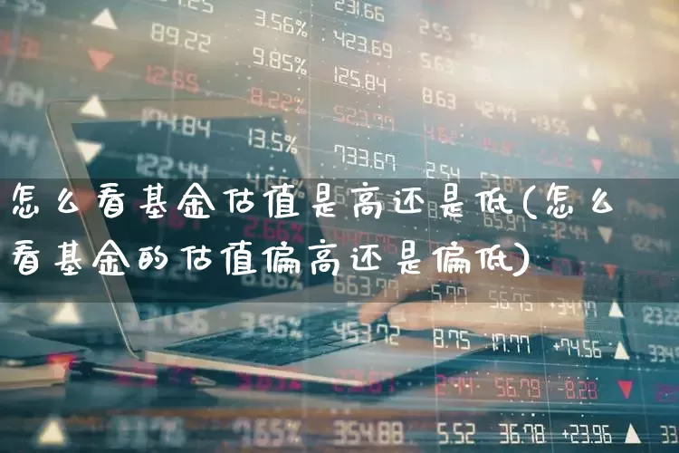 怎么看基金估值是高还是低(怎么看基金的估值偏高还是偏低)_https://www.shshucaipeisong.com_创业板_第1张