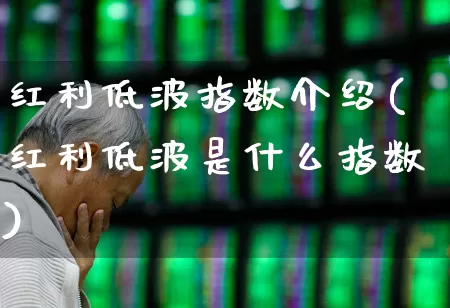 红利低波指数介绍(红利低波是什么指数)_https://www.shshucaipeisong.com_北交所_第1张
