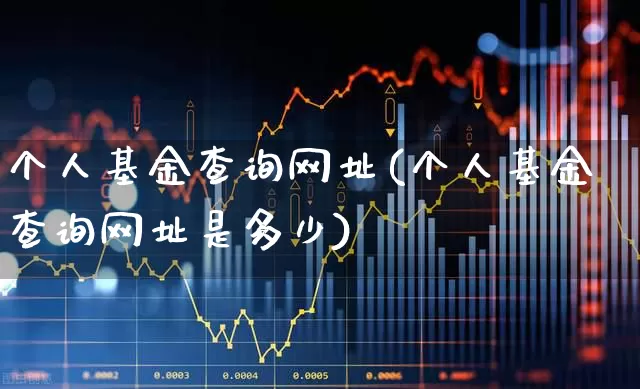 个人基金查询网址(个人基金查询网址是多少)_https://www.shshucaipeisong.com_上交所_第1张
