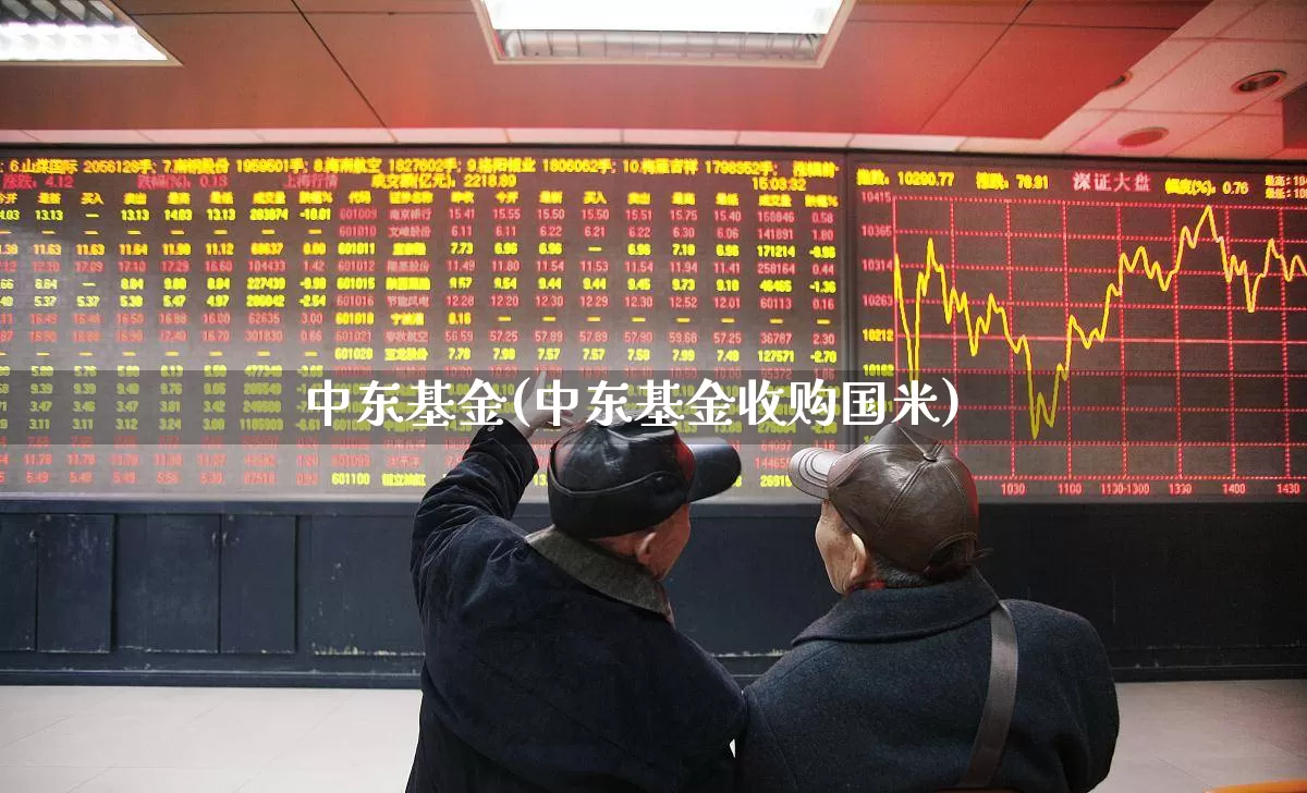 中东基金(中东基金收购国米)_https://www.shshucaipeisong.com_北交所_第1张